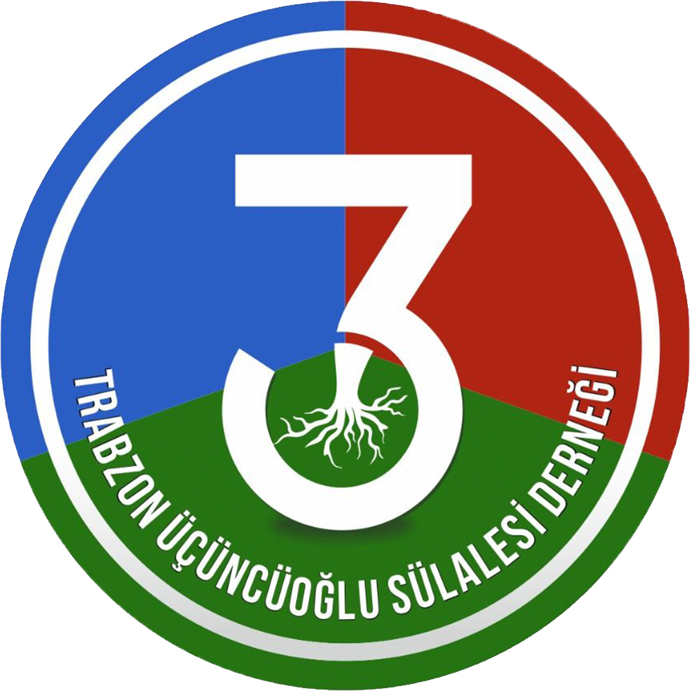 Köy Dernek Muhtarlık sitesi web tasarımı